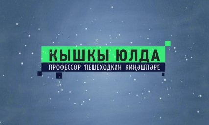 Кышкы юлда
