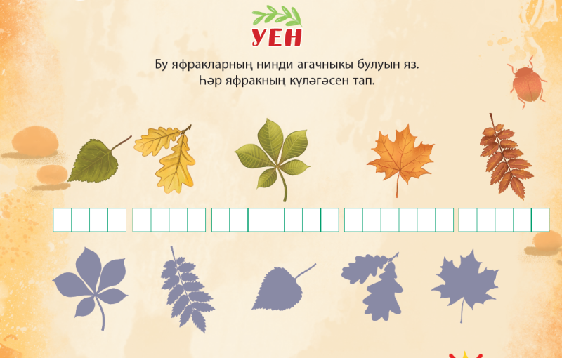 Запиши, к какому дереву принадлежат эти листья, и найди их тень
