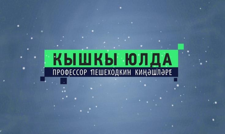 Кышкы юлда