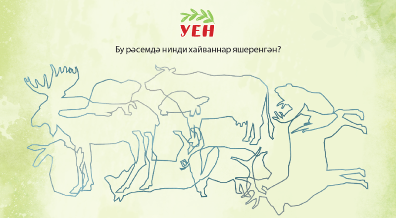 Бу рәсемдә нинди хайваннар яшеренгән?