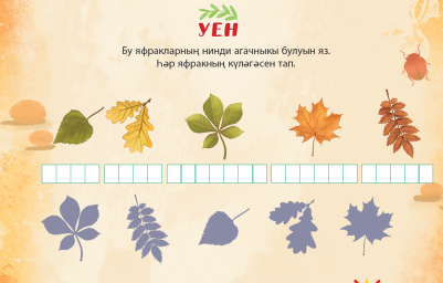 Запиши, к какому дереву принадлежат эти листья, и найди их тень