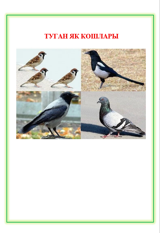 Туган як кошлары
