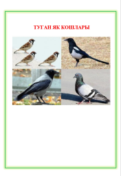 Туган як кошлары Туган як кошлары